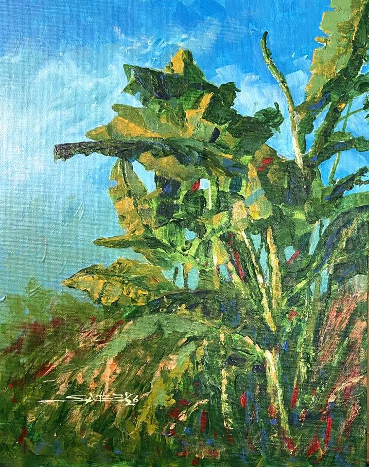 Musa