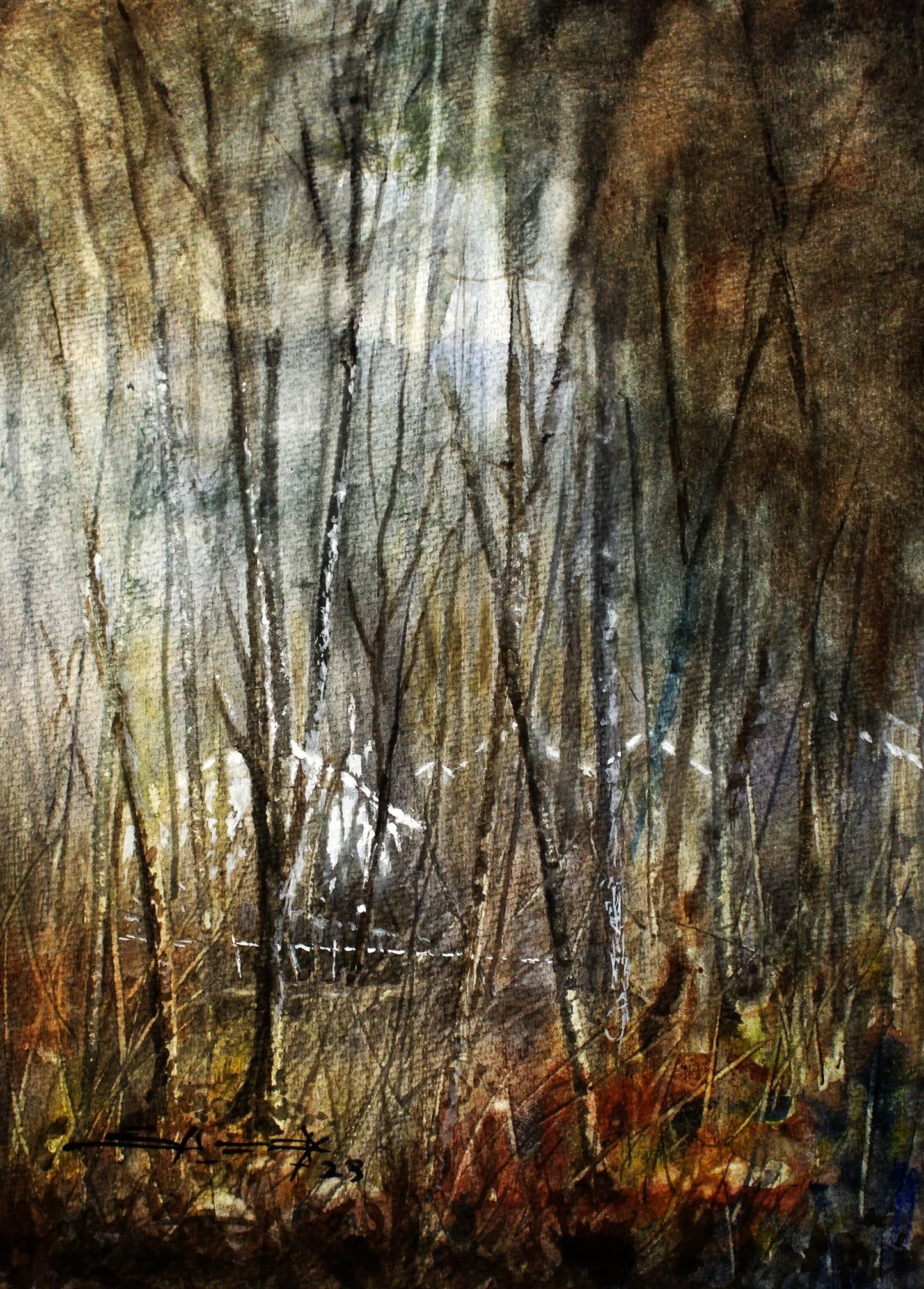 houses through trees