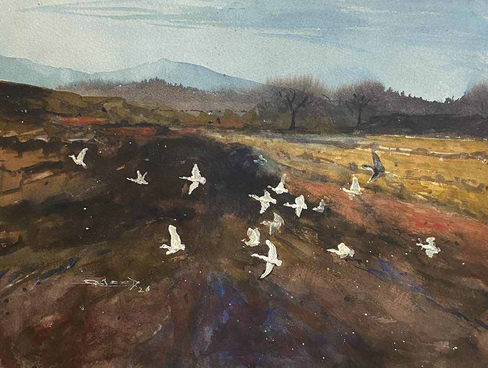 Migrating Birds