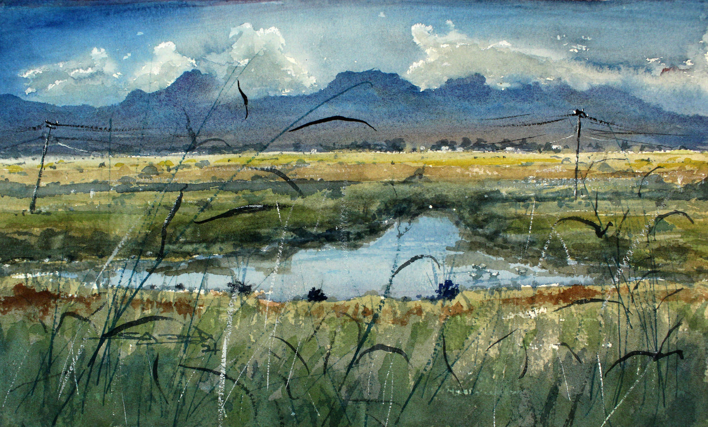 The Pond