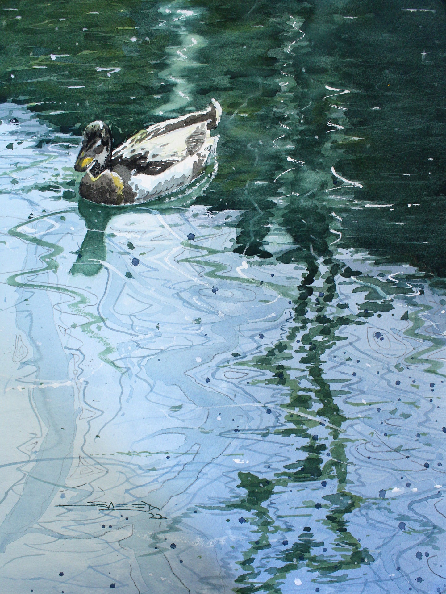 The lonely duck