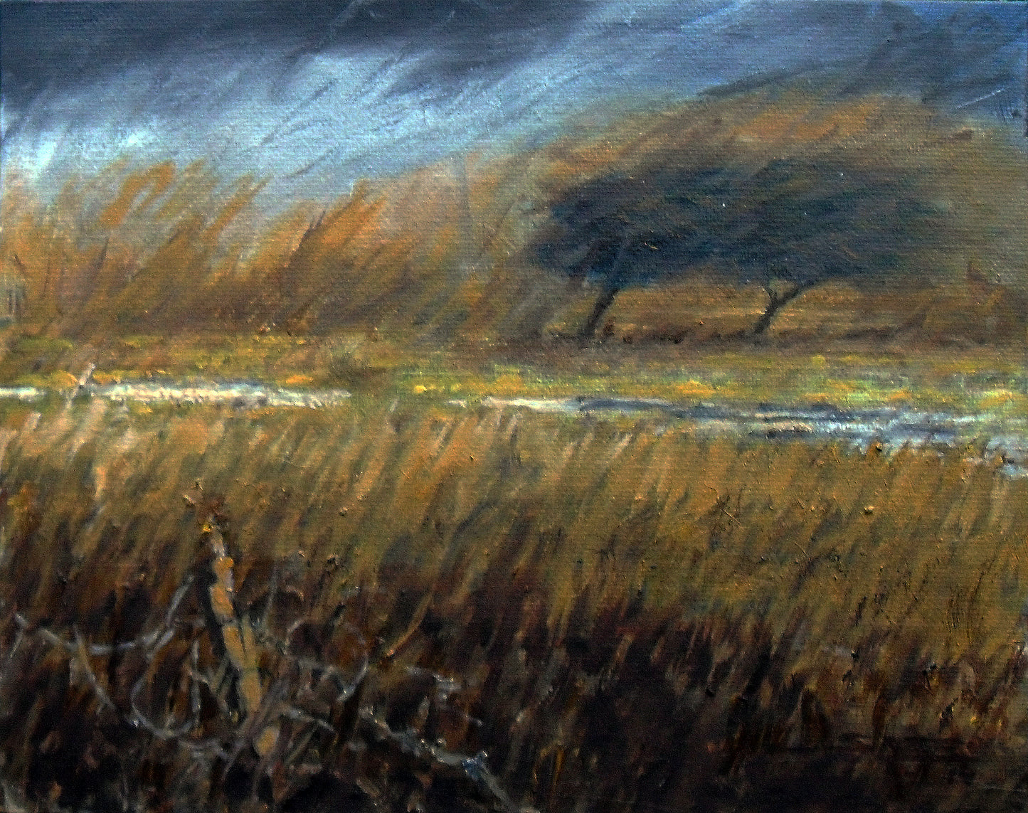 The wind