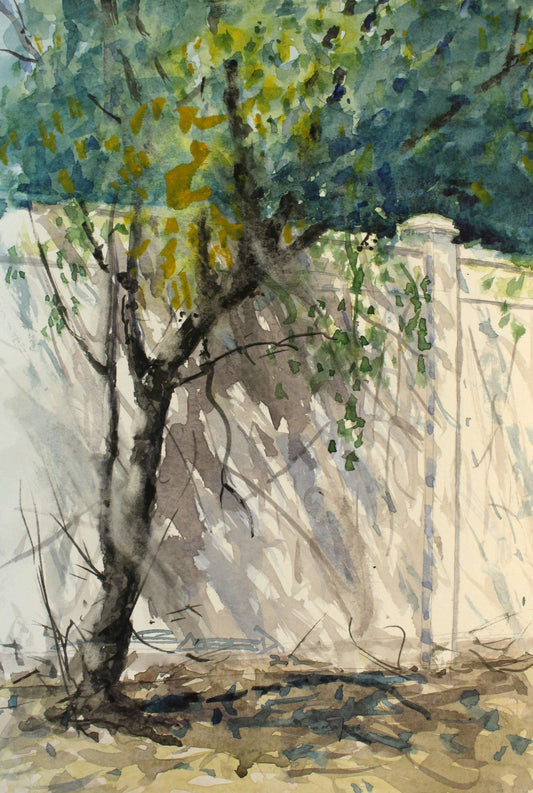 Backyard tree