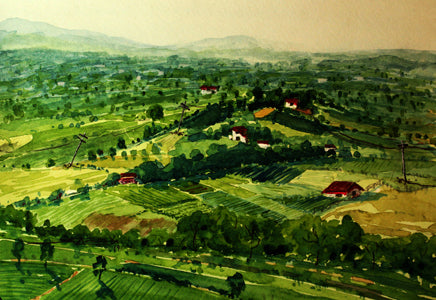 Bird eye