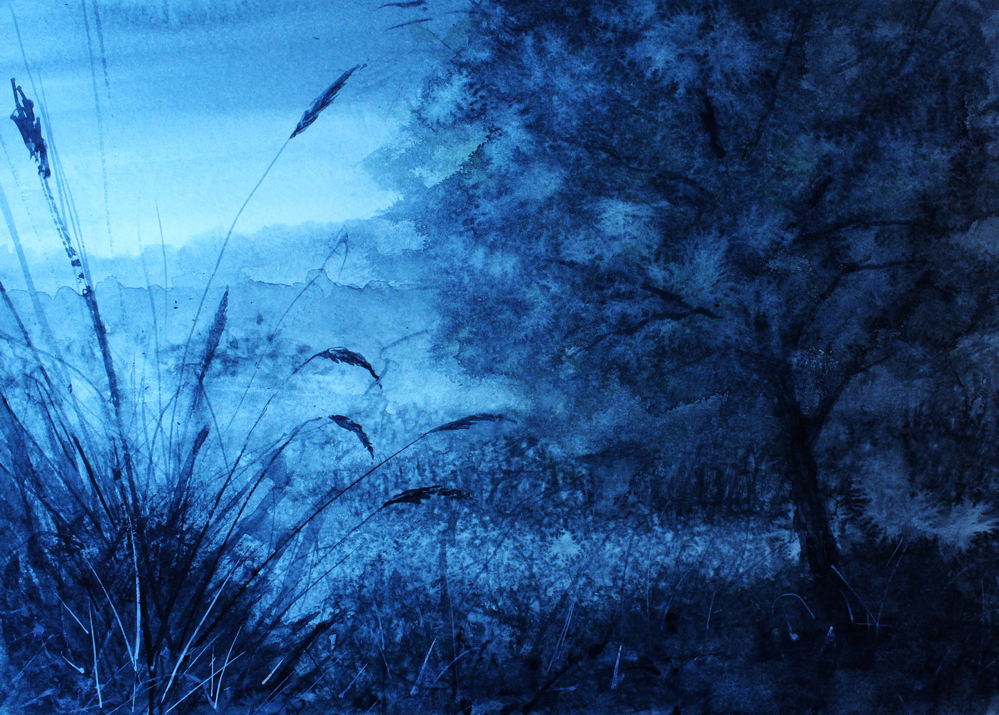 Early Morning