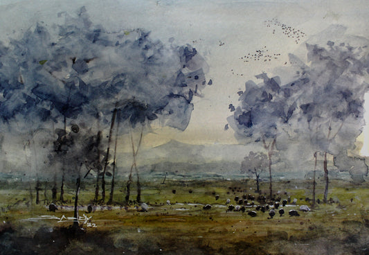Sheep in field