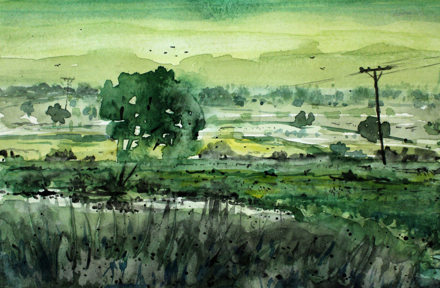 Landscape in green