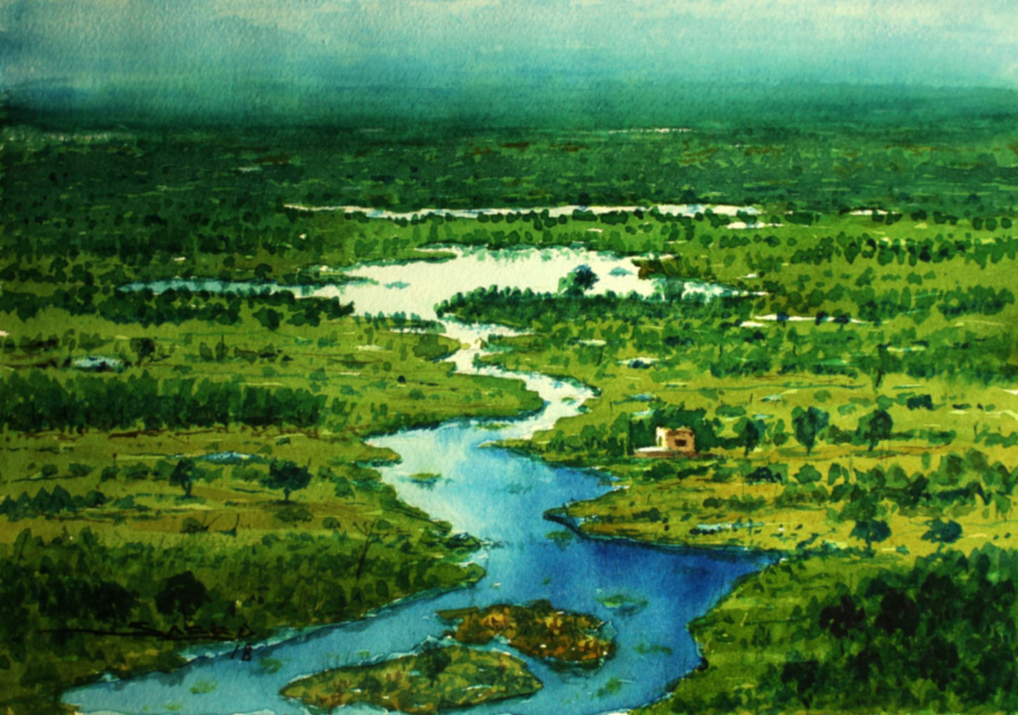 Saga of nature