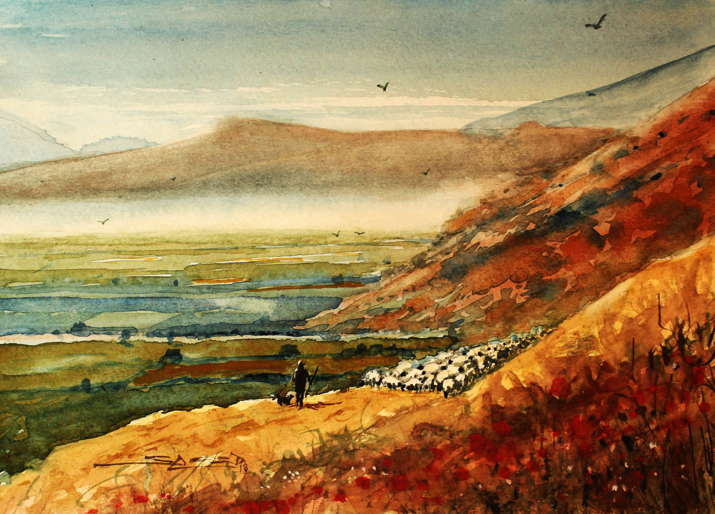 Shepherd and the sheep